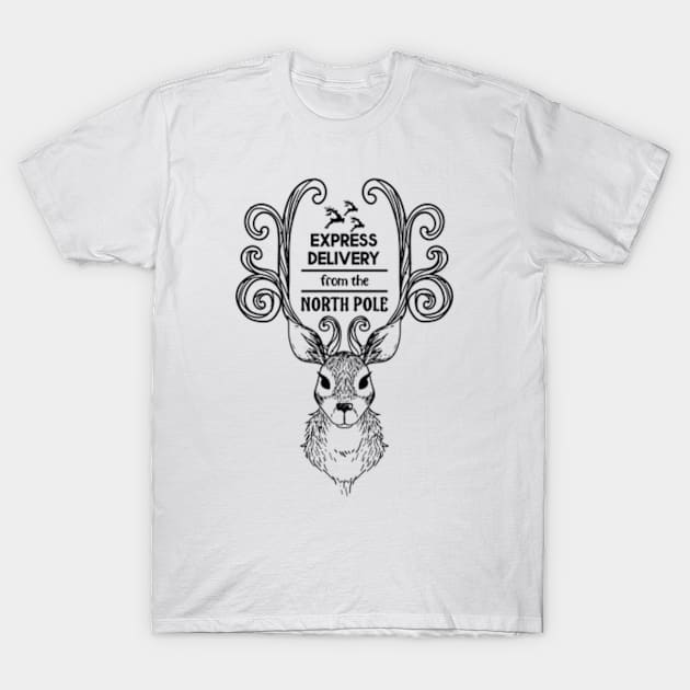 Express delivery from the North Pole T-Shirt by bubble_designer